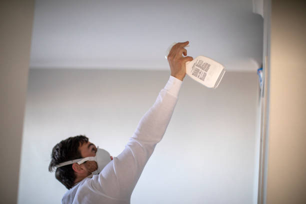 Best Toxic Mold Removal  in Bloomgton, IN